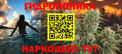 гашик Жуковский