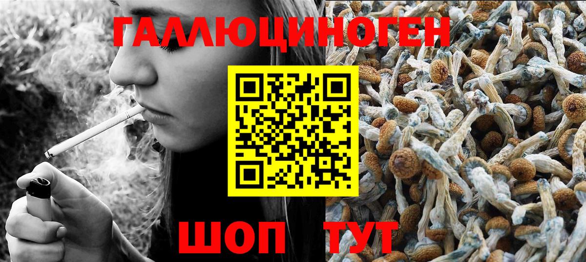 Псилоцибиновые грибы MAGIC MUSHROOMS  Галлюциногенные грибы мухоморы  Вход с VPN  Лесной 